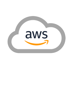 AWS Cloud